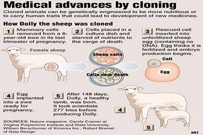 Suy Tư Thần Học Và Đạo Đức Về Việc Sử Dụng Kỹ Thuật Gien:  Đầu Tiên Là Cừu, Rồi Đến Con Người Chăng?