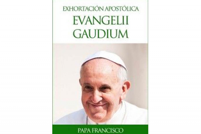 Tông Huấn Evangelii Gaudium (Niềm Vui Tin Mừng) Của ĐGH Phanxicô (Ngày 24-11-2013) – (3)