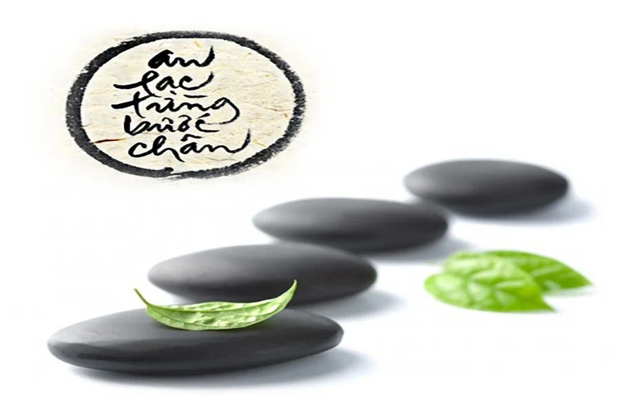Giác Ngộ “Tự Tánh” Trong Thiền Phật Giáo – 3